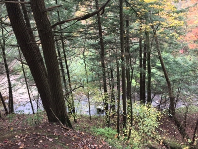 Family Farm near the Mohawk Valley - image 11