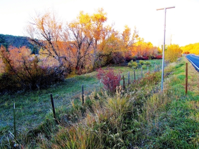 Colorado Waterfront Land For Sale - image 6
