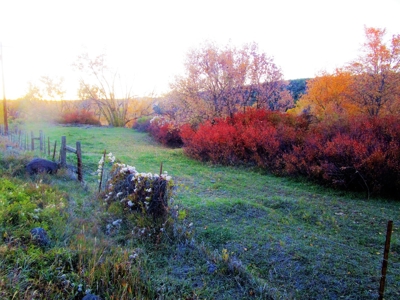 Colorado Waterfront Land For Sale - image 8