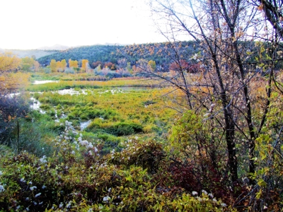 Colorado Waterfront Land For Sale - image 3