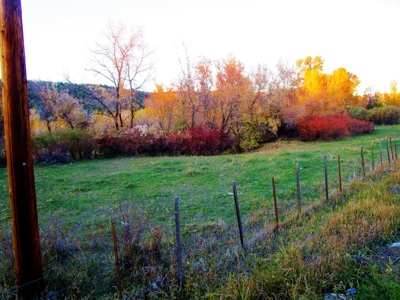 Colorado Waterfront Land For Sale - image 7