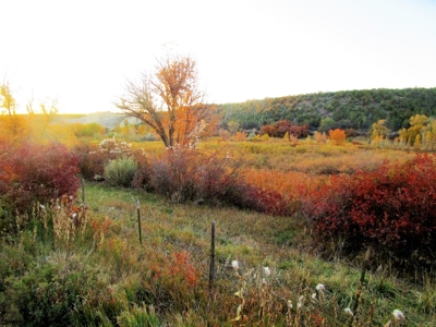 Colorado Waterfront Land For Sale - image 5