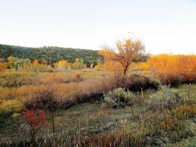 Colorado Waterfront Land For Sale - image 4