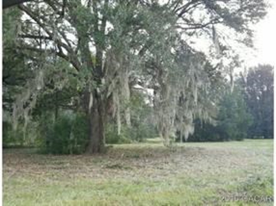 North Central High Springs Fl Country Living - image 1