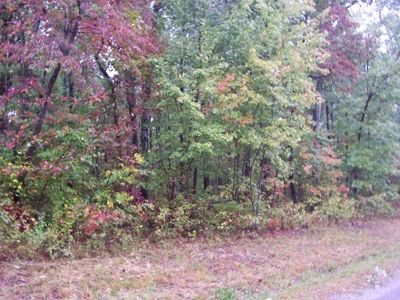 Mountain Property Cumberland Plateau, Crossville TN - image 2