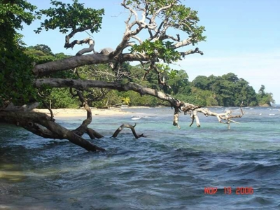 Bastimentos Beachfront Land, Old Point, Bocas del Toro - image 1