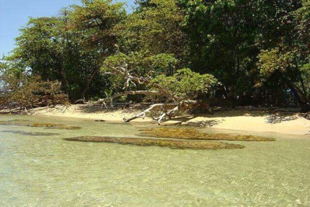 Bastimentos Beachfront Land, Old Point, Bocas del Toro - image 3