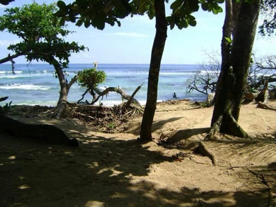 Bastimentos Beachfront Land, Old Point, Bocas del Toro - image 2