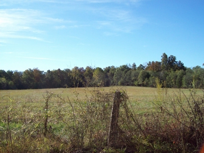 32 +/- Acres Near Sam A Baker State Park - image 1