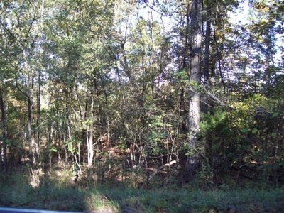 32 +/- Acres Near Sam A Baker State Park - image 9