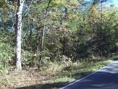 32 +/- Acres Near Sam A Baker State Park - image 8