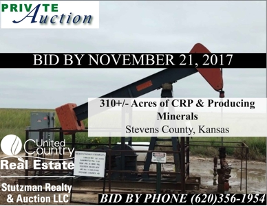 Crp & Producing Minerals In Stevens County, Kansas - image 1