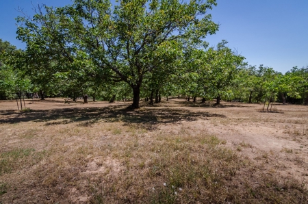 Horse Property and Walnut Farm for Sale in California - image 35