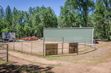 Horse Property and Walnut Farm for Sale in California - image 29