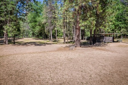 Horse Property and Walnut Farm for Sale in California - image 31