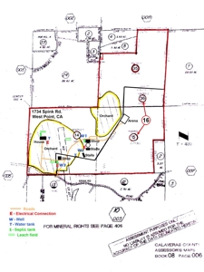Horse Property and Walnut Farm for Sale in California - image 10