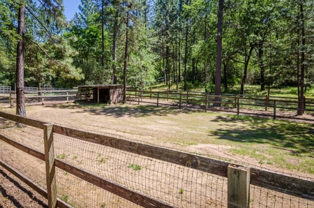 Horse Property and Walnut Farm for Sale in California - image 28