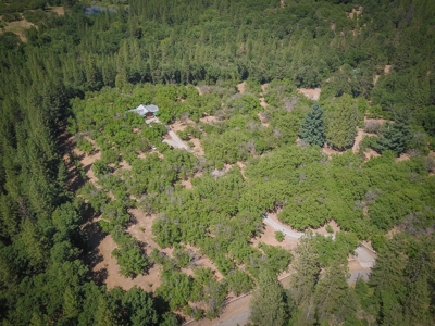 Horse Property and Walnut Farm for Sale in California - image 27