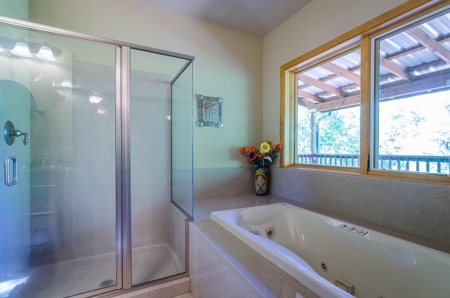 Horse Property and Walnut Farm for Sale in California - image 19