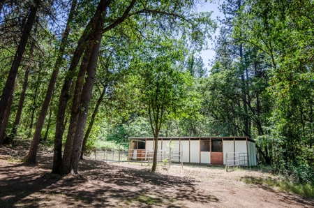 Horse Property and Walnut Farm for Sale in California - image 30