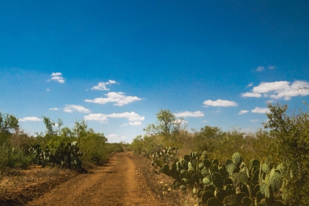 South Texas Hunting Ranch located in Zavala & Uvalde County - image 12