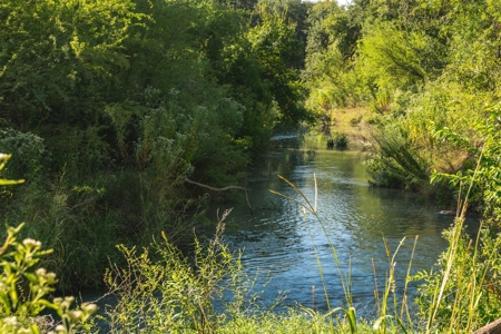 South Texas Hunting Ranch located in Zavala & Uvalde County - image 23