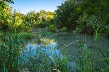 South Texas Hunting Ranch located in Zavala & Uvalde County - image 24