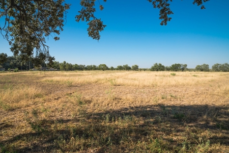 South Texas Hunting Ranch located in Zavala & Uvalde County - image 25