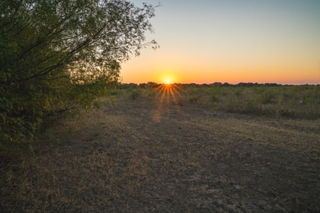South Texas Hunting Ranch located in Zavala & Uvalde County - image 32