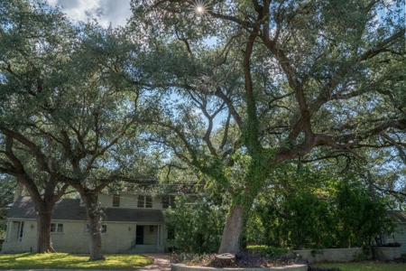 South Texas Hunting Ranch located in Zavala & Uvalde County - image 19