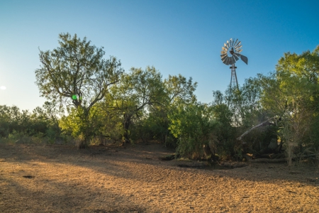 South Texas Hunting Ranch located in Zavala & Uvalde County - image 28