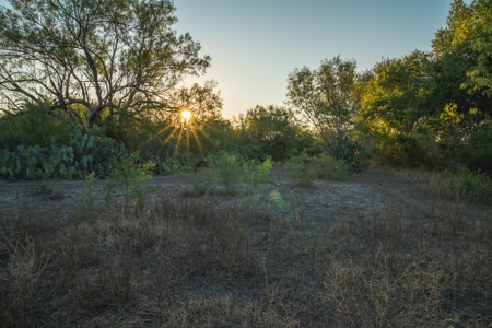 South Texas Hunting Ranch located in Zavala & Uvalde County - image 31