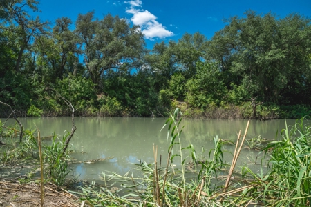 South Texas Hunting Ranch located in Zavala & Uvalde County - image 5