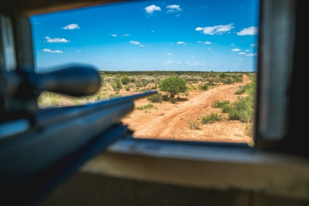 South Texas Hunting Ranch located in Zavala & Uvalde County - image 6