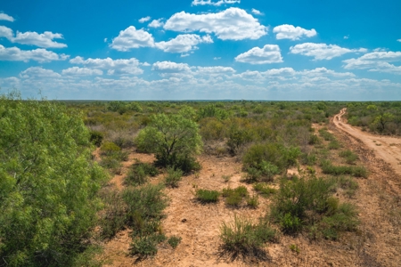 South Texas Hunting Ranch located in Zavala & Uvalde County - image 3