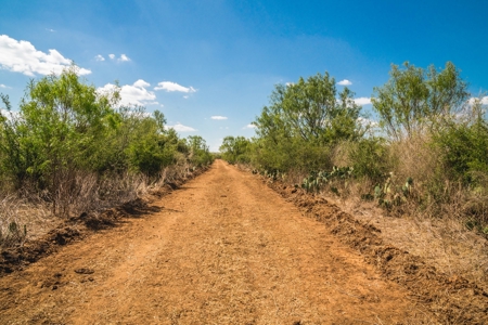 South Texas Hunting Ranch located in Zavala & Uvalde County - image 2