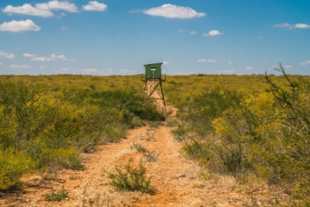 South Texas Hunting Ranch located in Zavala & Uvalde County - image 10