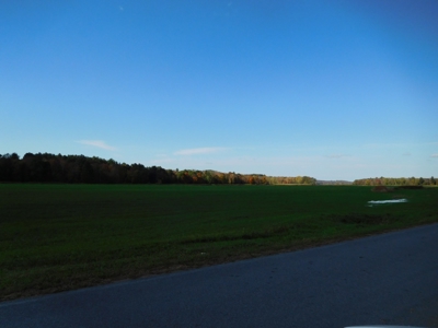 Large dairy farm - image 3