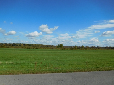 Large dairy farm - image 8