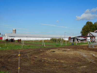 Large dairy farm - image 22