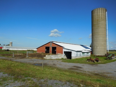 Large dairy farm - image 17