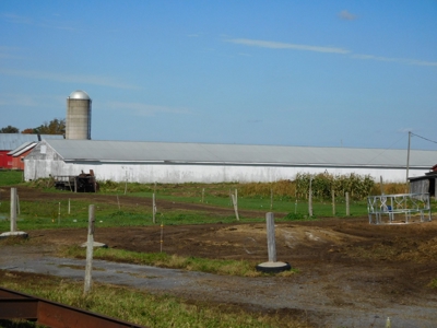 Large dairy farm - image 18