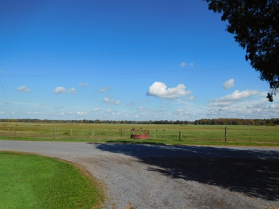 Large dairy farm - image 12
