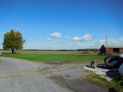 Large dairy farm - image 23