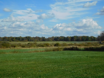 Large dairy farm - image 9