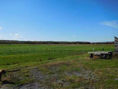 Large dairy farm - image 16
