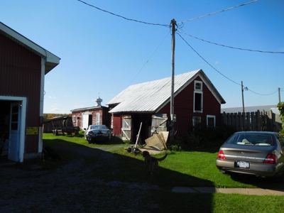 Large dairy farm - image 26