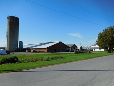 Large dairy farm - image 6