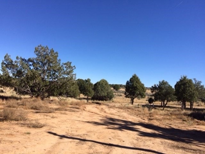 Northern NM Hunting Ranch / Acreage for Sale Lindrith NM - image 7