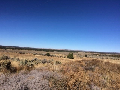 Northern NM Hunting Ranch / Acreage for Sale Lindrith NM - image 9